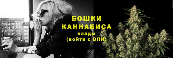 СК Вязьма