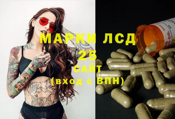 СК Вязьма