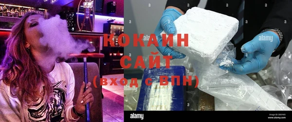 СК Вязьма