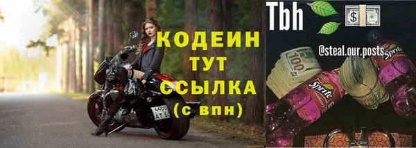 СК Вязьма