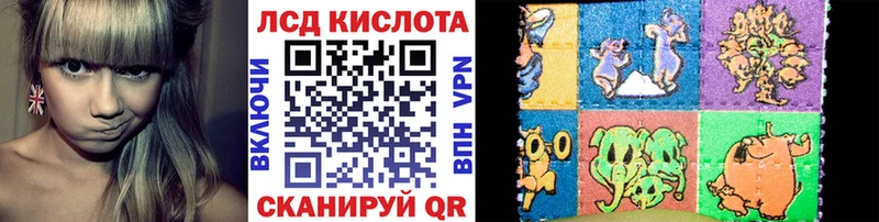 закладка  Губкин  Марки N-bome 1500мкг 