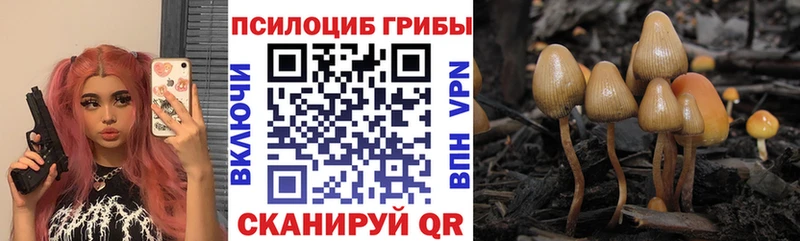 мега ТОР  Губкин  Псилоцибиновые грибы Psilocybe 