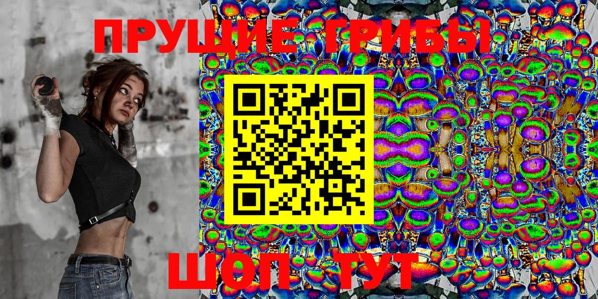 где продают наркотики  Галлюциногенные грибы Magic Shrooms  Вход с VPN  Губкин 